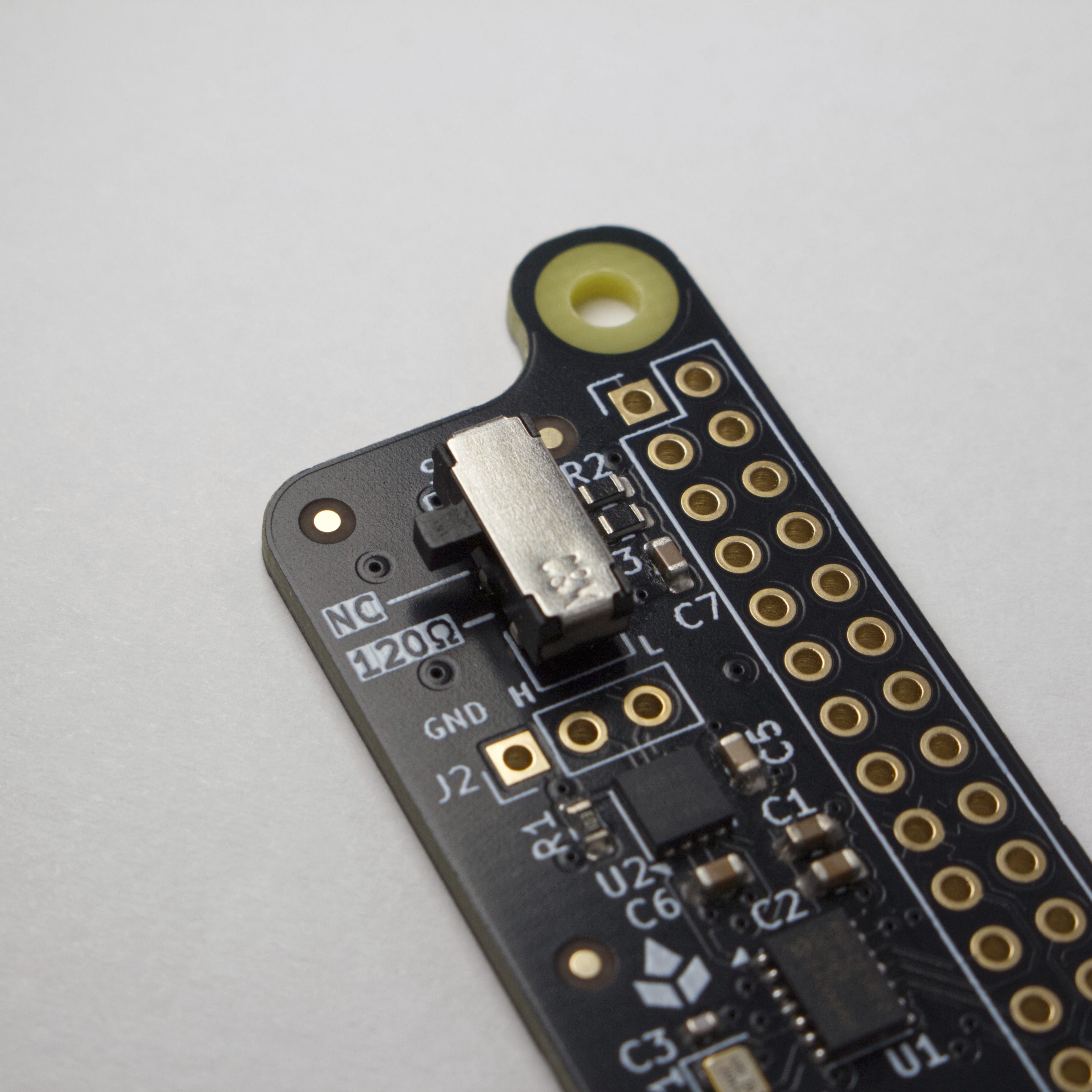 CAN bus termination switch